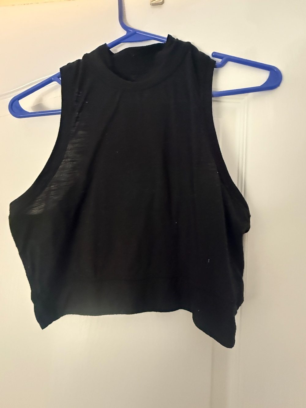 Black Sleeveless Crop Top - Minimal Mock Neck